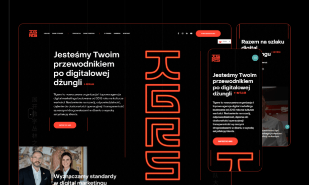 Wejście tygrysa na rynek azjatycki. Nowa strona agencji Tigers.